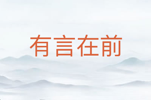 有言在前