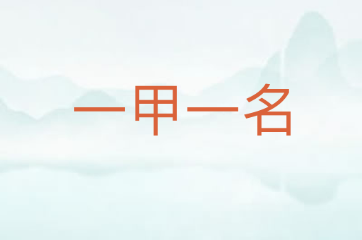 一甲一名