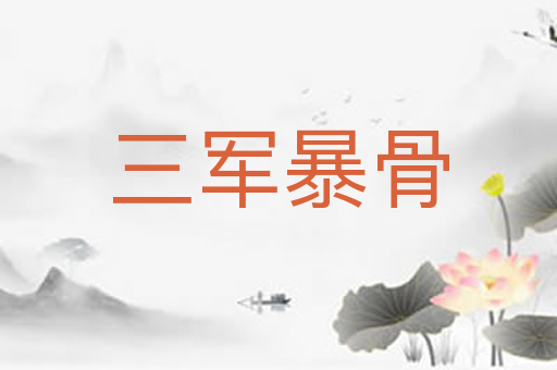 三军暴骨