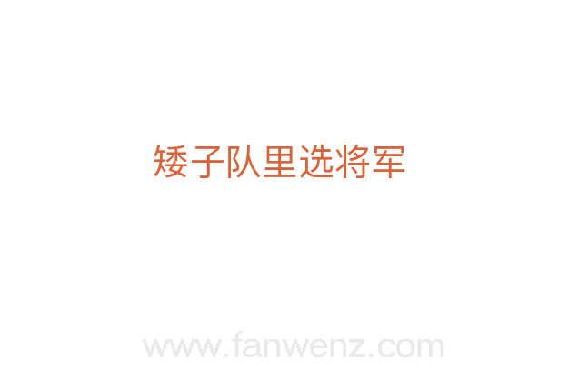 矮子队里选将军
