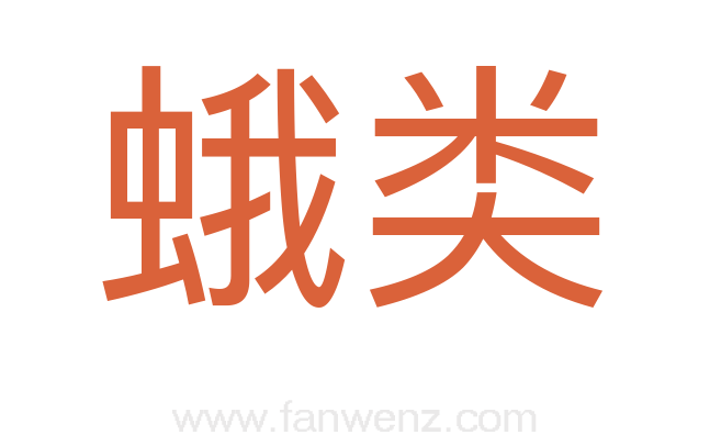 蛾类