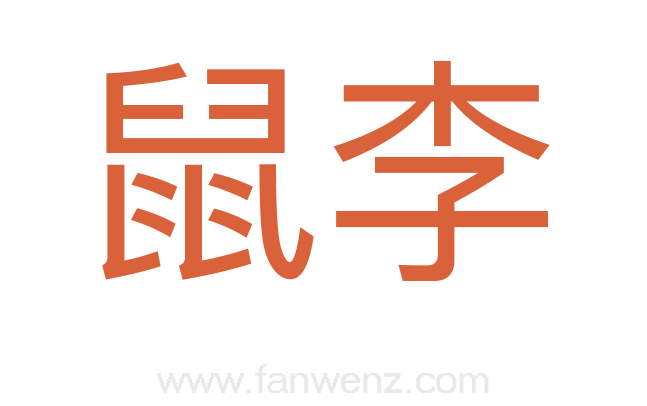 鼠李