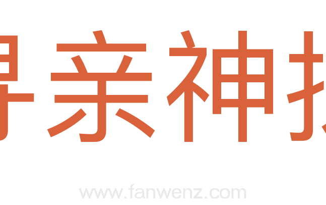 寻亲神探