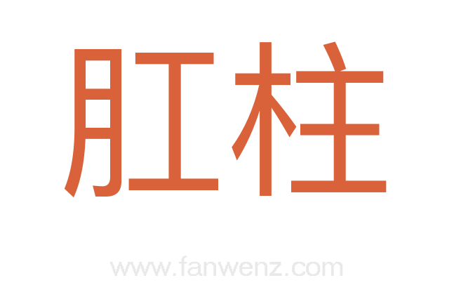 肛柱