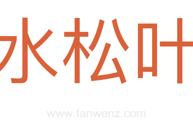 水松叶