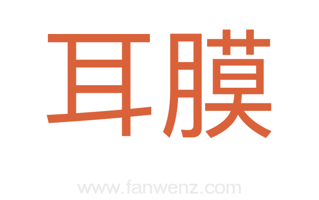 耳膜