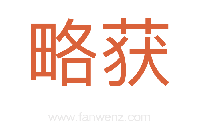 略获