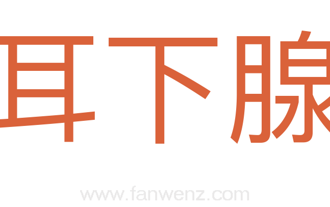 耳下腺