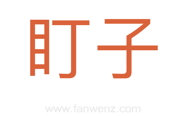 盯子