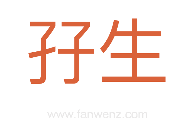 孖生