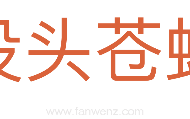 没头苍蝇
