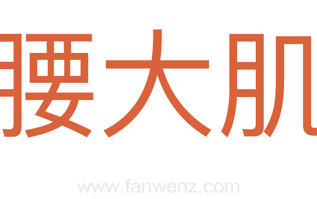 腰大肌