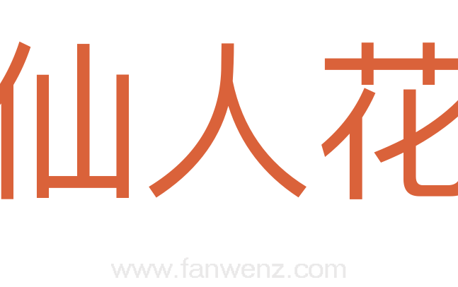 仙人花