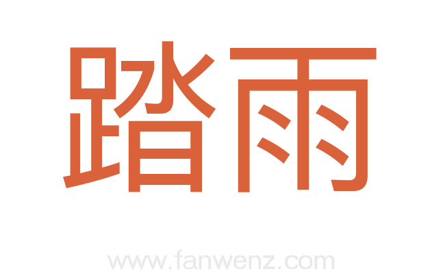 踏雨