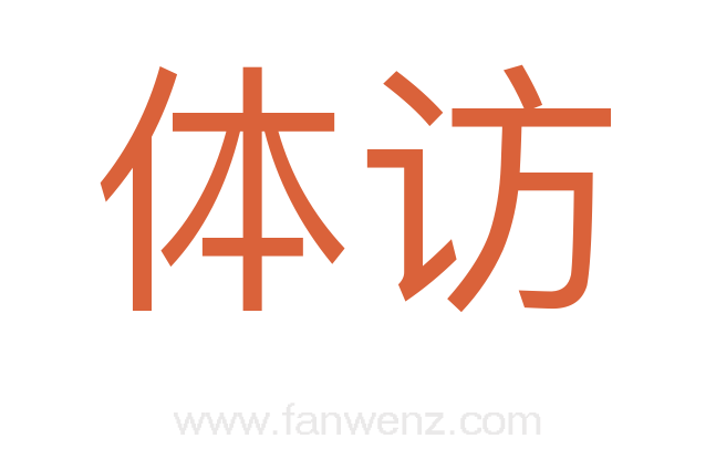 体访