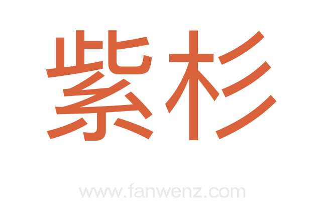 紫杉