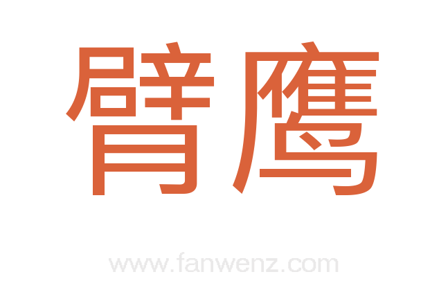 臂鹰
