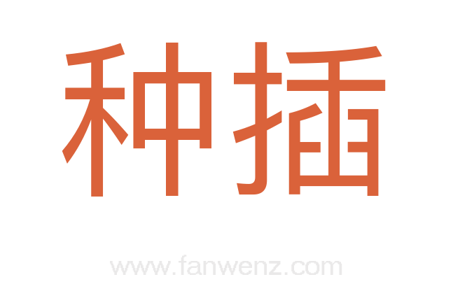 种插