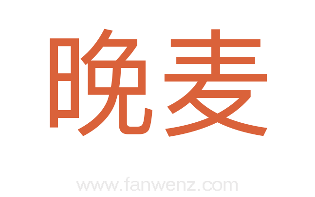 晚麦