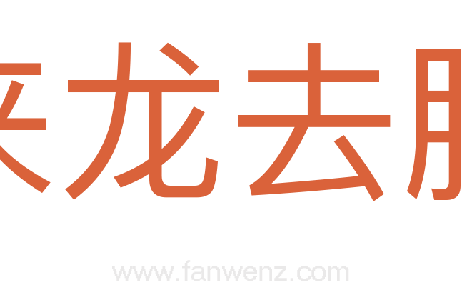 来龙去脉