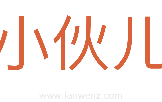 小伙儿