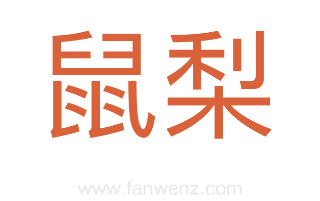 鼠梨