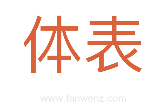 体表