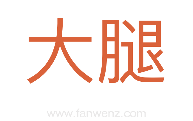 大腿