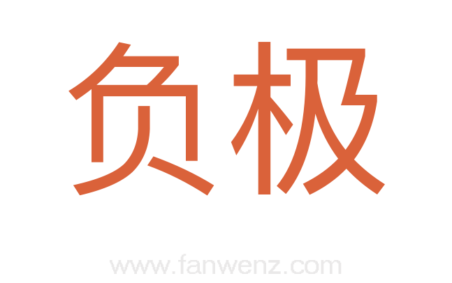 负极
