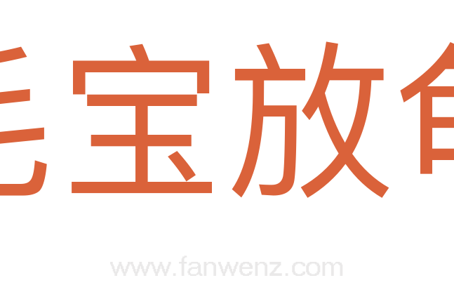毛宝放龟