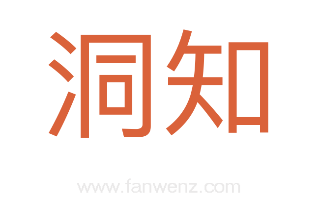 洞知