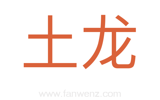 土龙