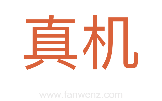 真机