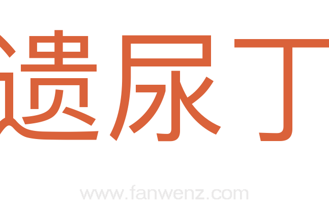 遗尿丁