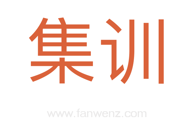 集训