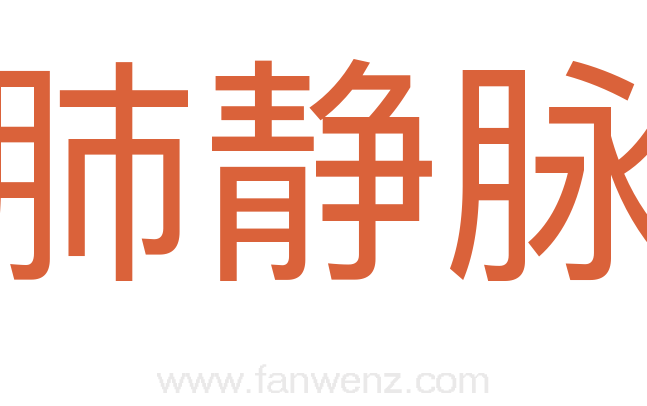 肺静脉