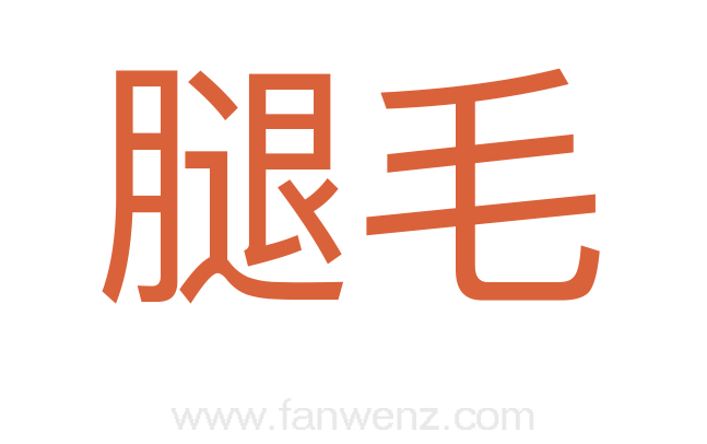 腿毛