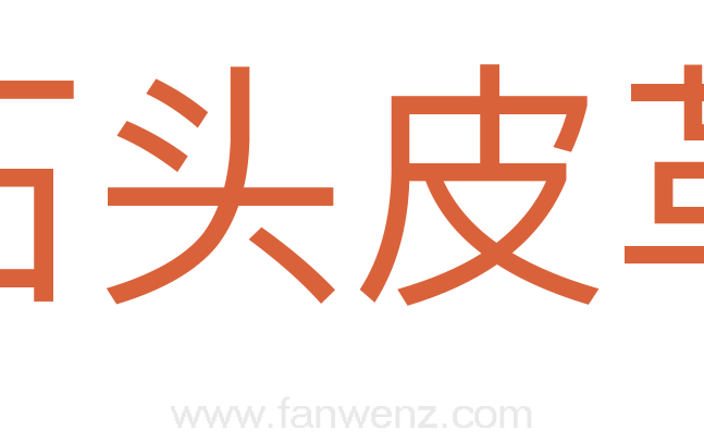 石头皮革