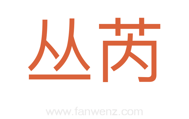 丛芮