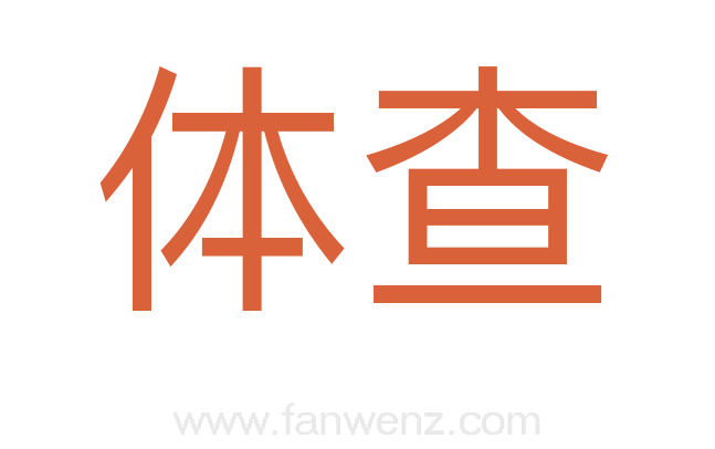体查