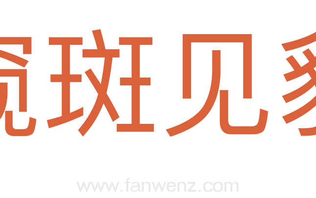 窥斑见豹
