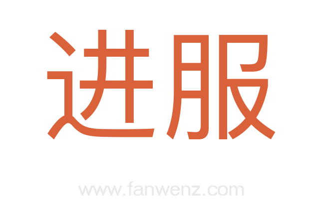 进服